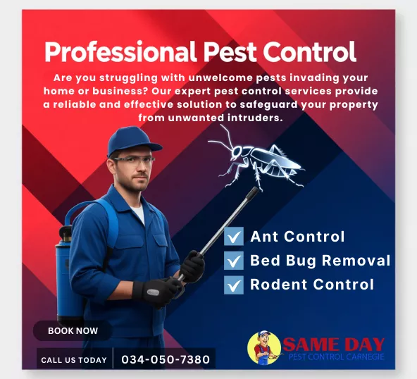Pest Control Carnegie